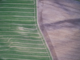 Aerial view of green agricultural field with tractor tracks
