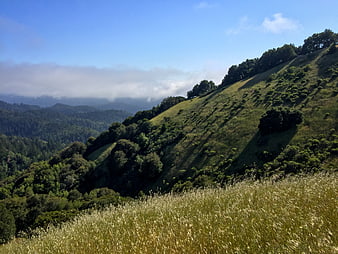 Sunny green mountain slope with grassy foreground and distant misty peaks