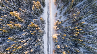 Aerial View of Snowy Forest Road in Winter