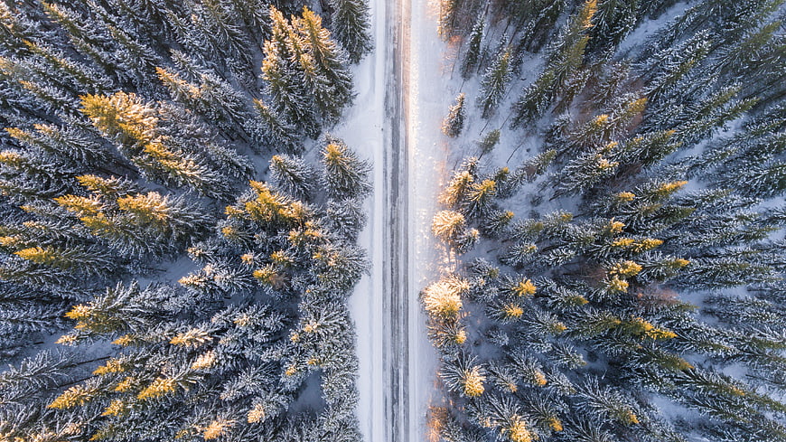 Aerial View of Snowy Forest Road in Winter
