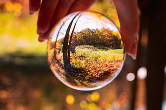 Hand holding crystal ball reflecting autumn forest landscape