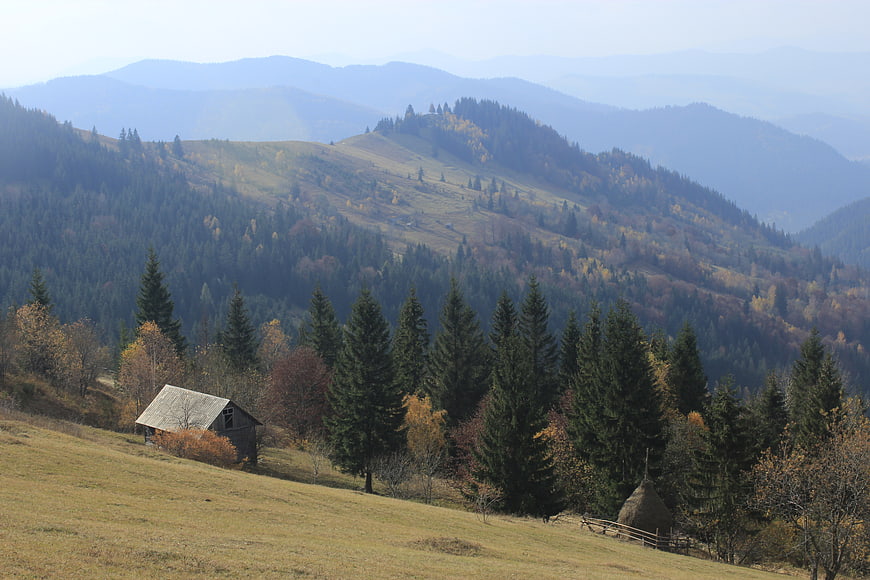 Rustic wooden cabin on autumn mountain hillside with forest