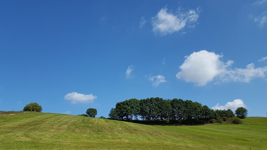 Green rolling hills with trees under a blue sky