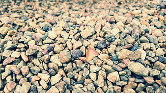 Close-up of colorful pebbles with a single dry leaf