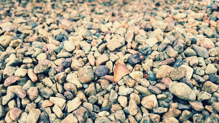Close-up of colorful pebbles with a single dry leaf