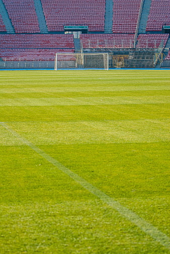 Empty soccer stadium with green grass field and red seats