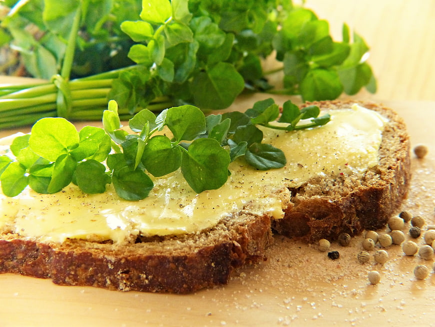 Spelt bread slice with butter and fresh watercress on wooden board