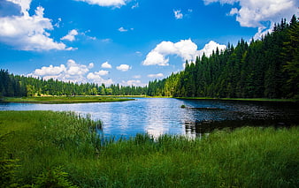 Serene Lake Surrounded by Green Forest and Blue Sky