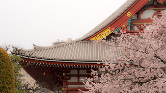 Traditional Japanese Temple Roof with Cherry Blossoms