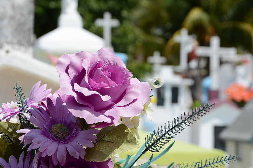 Purple artificial flowers in front of blurred white cemetery crosses