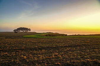 Serene coastal landscape with plowed field and trees at sunset