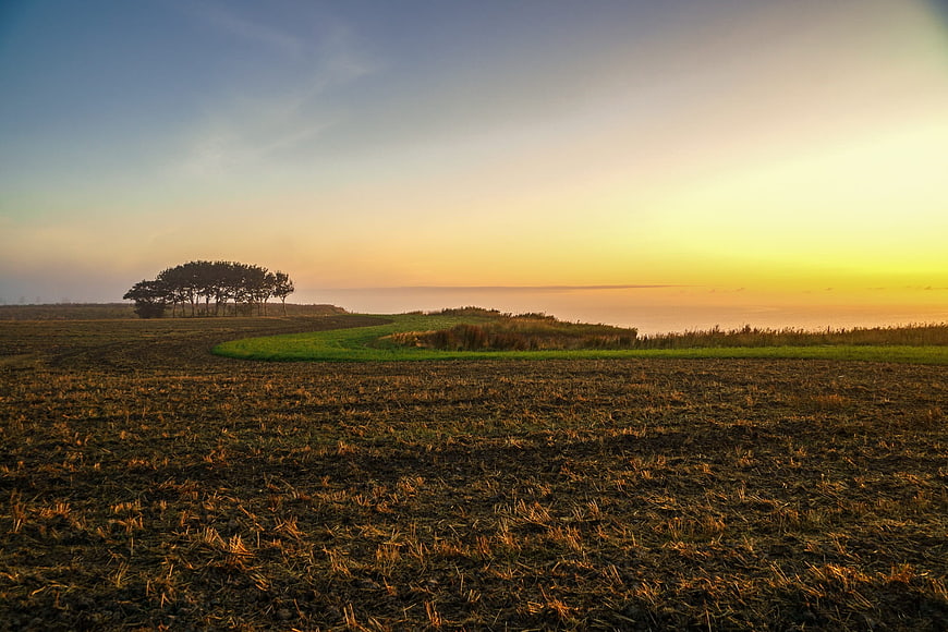 Serene coastal landscape with plowed field and trees at sunset