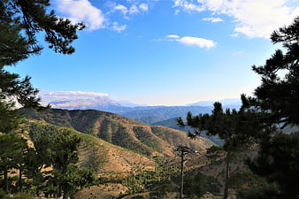 Scenic Mountain Landscape with Pine Trees and Blue Sky