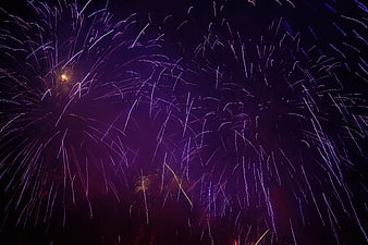 Purple Fireworks Exploding in Night Sky