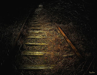 Dark Overgrown Abandoned Railroad Tracks at Night