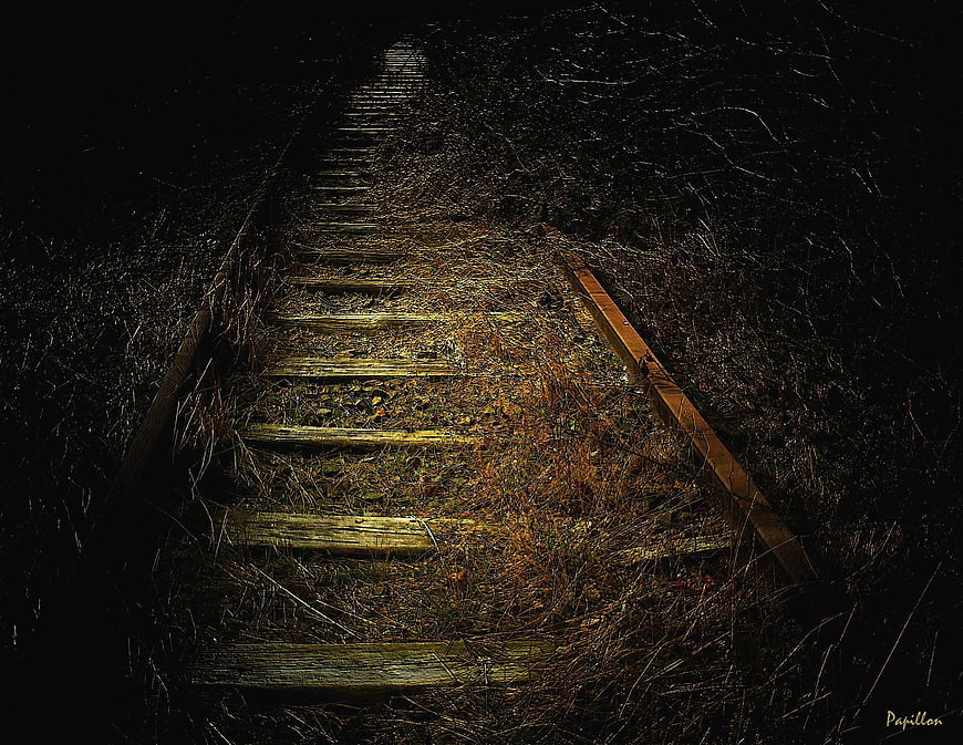 Dark Overgrown Abandoned Railroad Tracks at Night