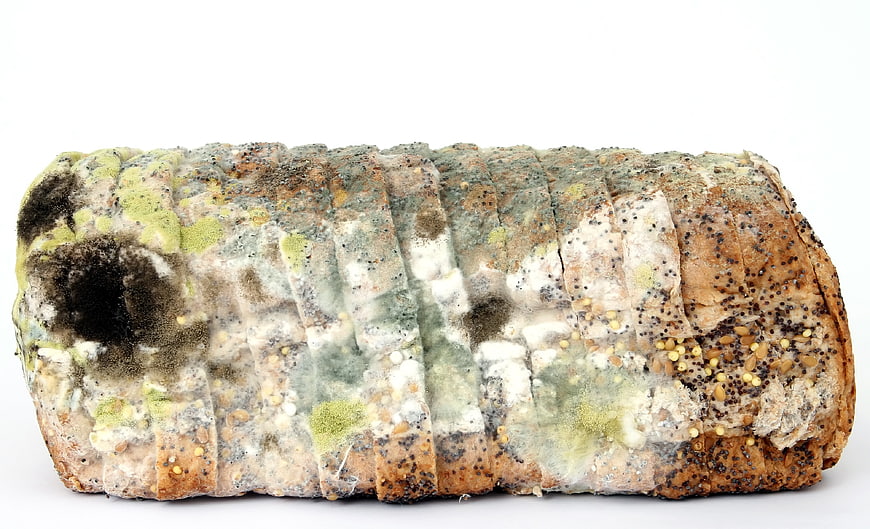 Moldy Bread Loaf Isolated On White Background