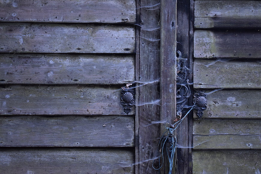 Old Rustic Wooden Door with Cobwebs and Metal Hinges