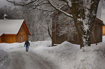 Man Walking Down Snowy Path Between Wooden Houses