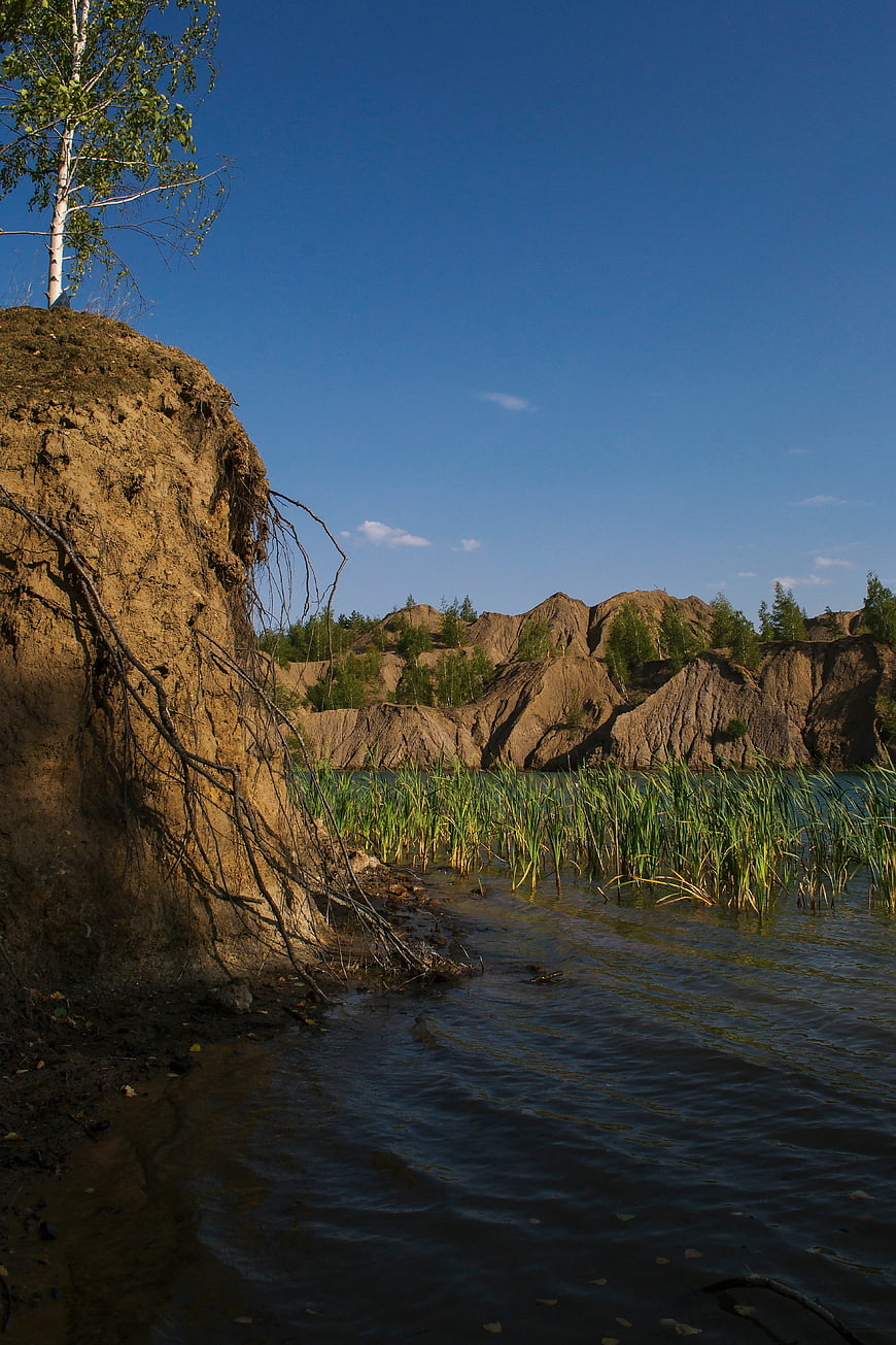 Erosion of sandy cliffs by a river in summer