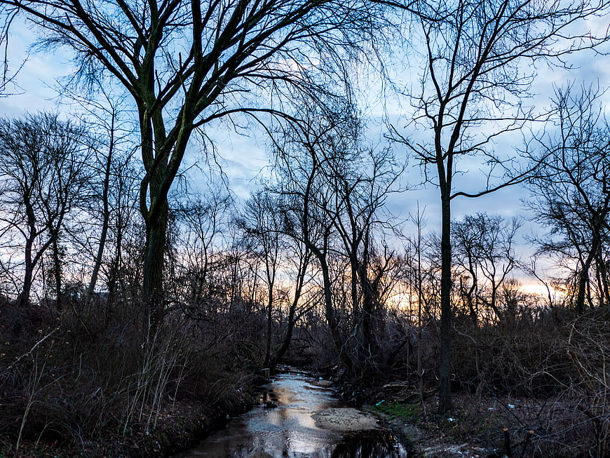 Winter Stream Through Bare Trees at Sunset