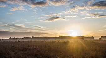 Golden Sunrise Over Misty Heather Field with Sun Rays
