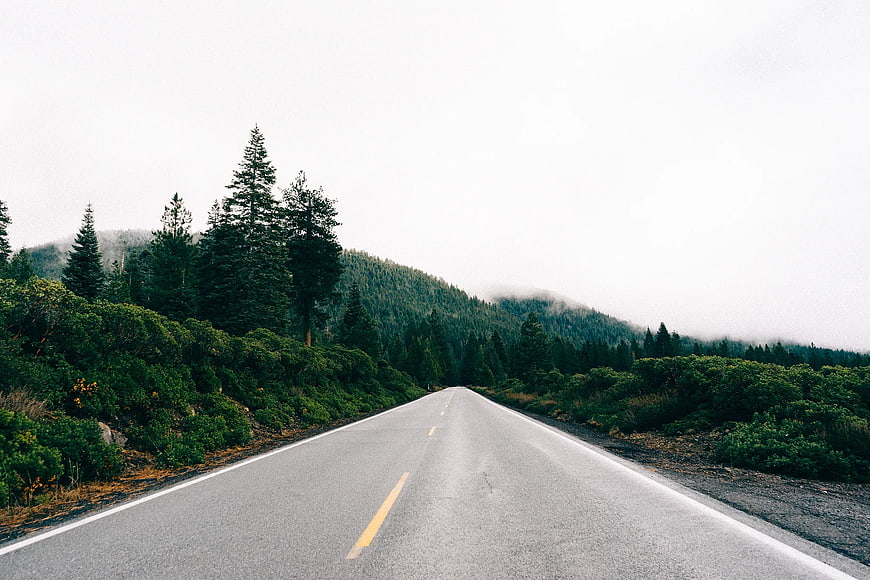 Empty asphalt road winding through misty forest mountains