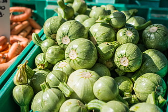 Fresh Green Zucchini Squash in Market Crate