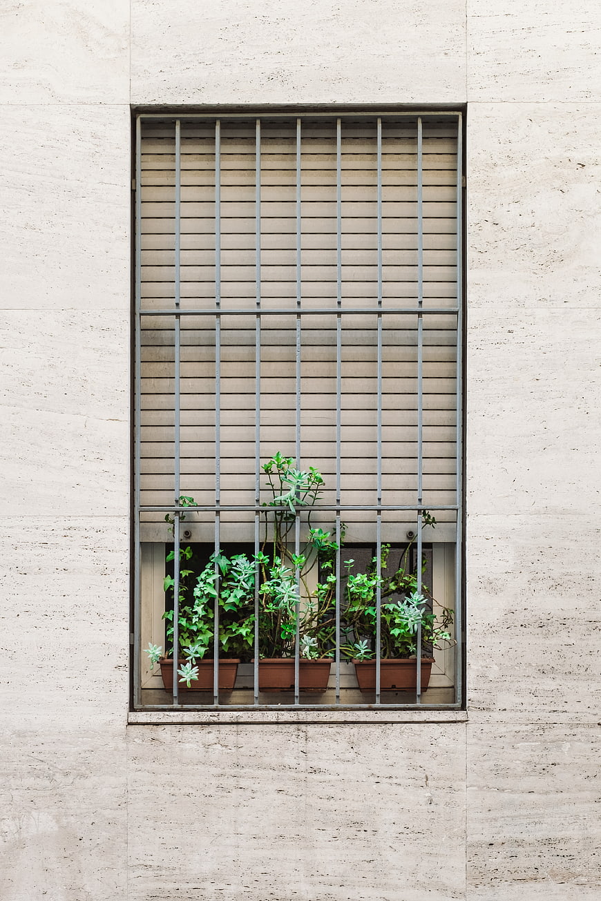Green potted plants behind metal window bars on stone wall
