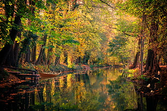 Autumnal Spreewald Canal with Wooden Boat and Reflections