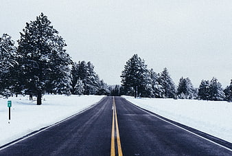Snowy Winter Road with Pine Trees and Mile Marker