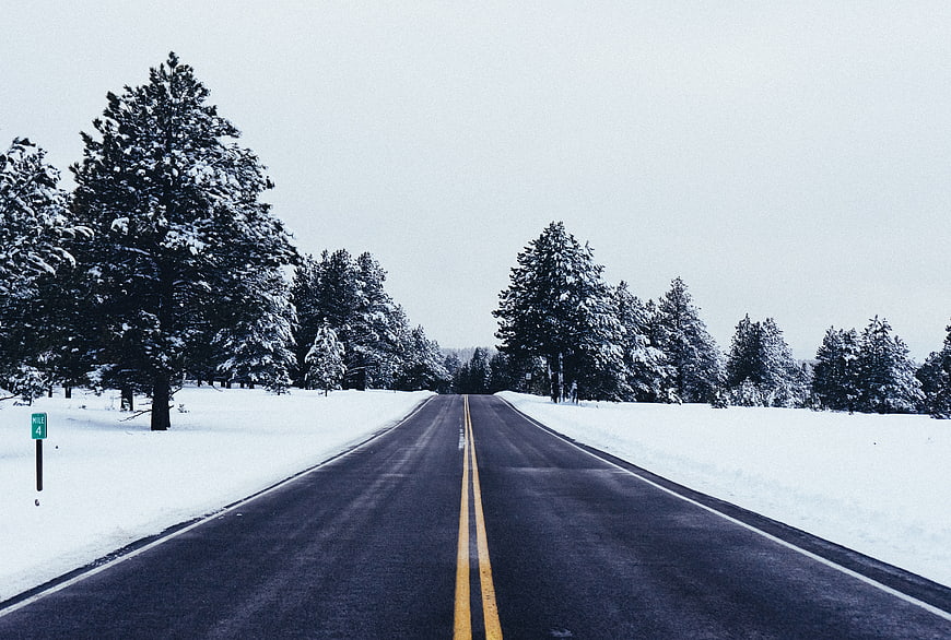 Snowy Winter Road with Pine Trees and Mile Marker