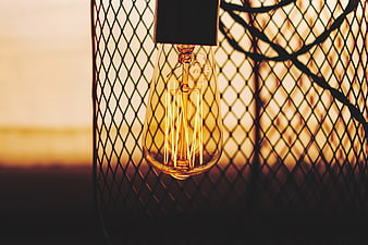 Vintage Edison Bulb Hanging in Metal Mesh Cage at Sunset
