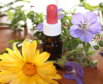 Essential Oil Bottle with Yellow and Purple Wildflowers