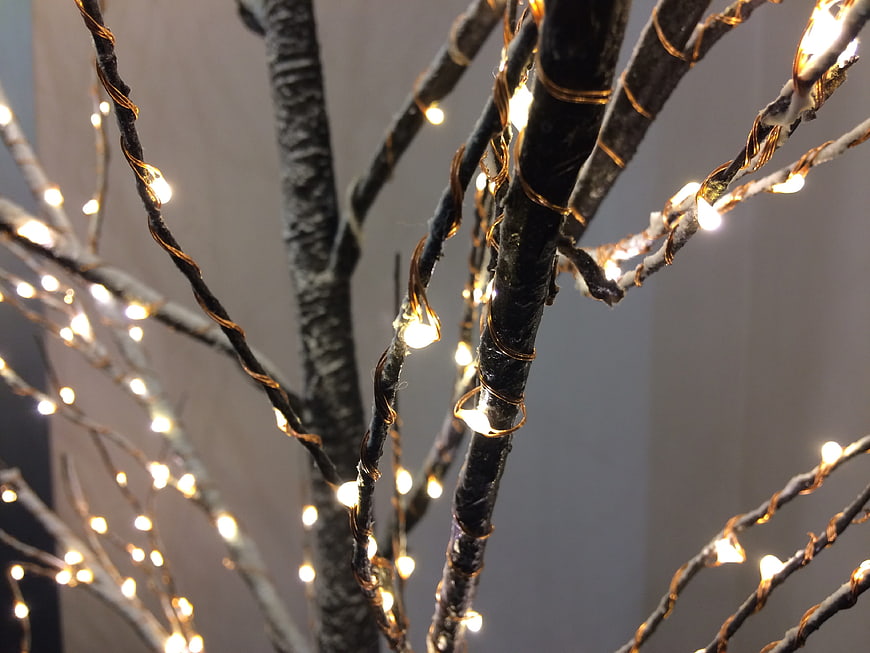 Festive Christmas Tree Branches With Warm Fairy Lights