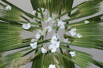 White Orchids and Palm Leaves Hanging Floral Installation