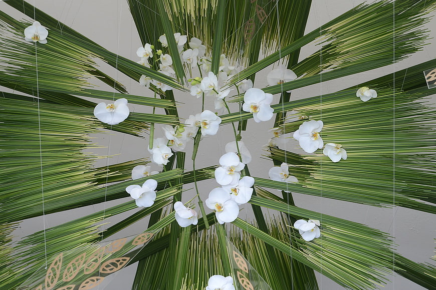 White Orchids and Palm Leaves Hanging Floral Installation