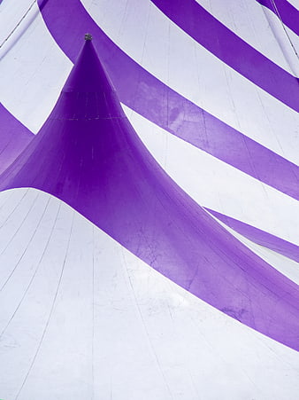 Purple and White Circus Tent Ceiling Abstract Pattern