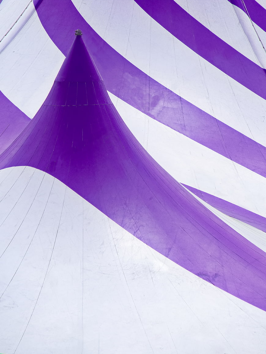 Purple and White Circus Tent Ceiling Abstract Pattern