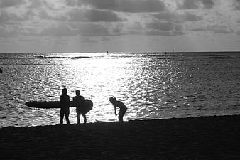 Silhouettes of surfers on beach at sunset