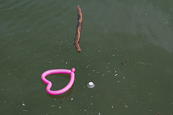Pink heart balloon and stick floating in polluted water