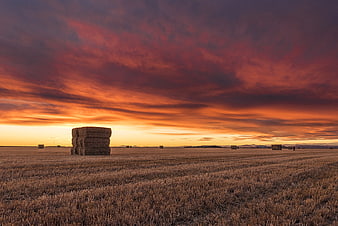 Dramatic sunset over harvested grain field with hay bales
