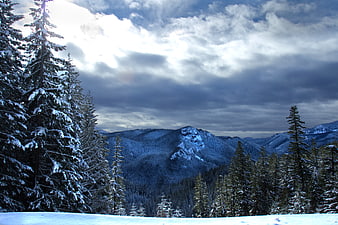 Snowy Mountain Landscape with Pine Trees and Dramatic Clouds