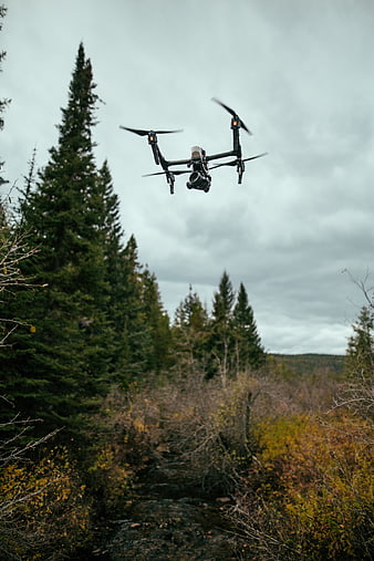 Professional drone with camera flying over autumn forest stream