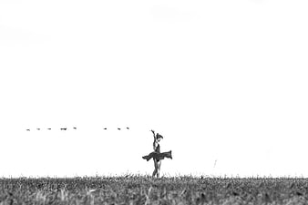 Black and white photo of a ballerina dancing in a field with birds