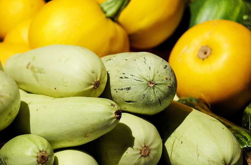 Fresh Green and Yellow Squash Vegetables Close Up