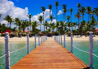 Tropical Wooden Pier Leading To Beach With Palm Trees