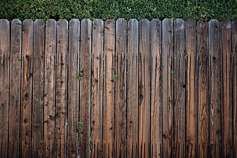 Weathered Wooden Fence Texture with Green Foliage Background