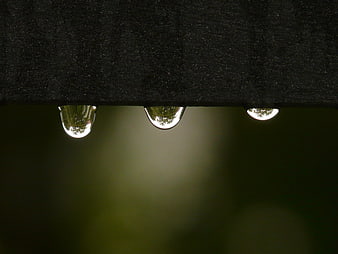 Close-up of raindrops hanging from a dark surface