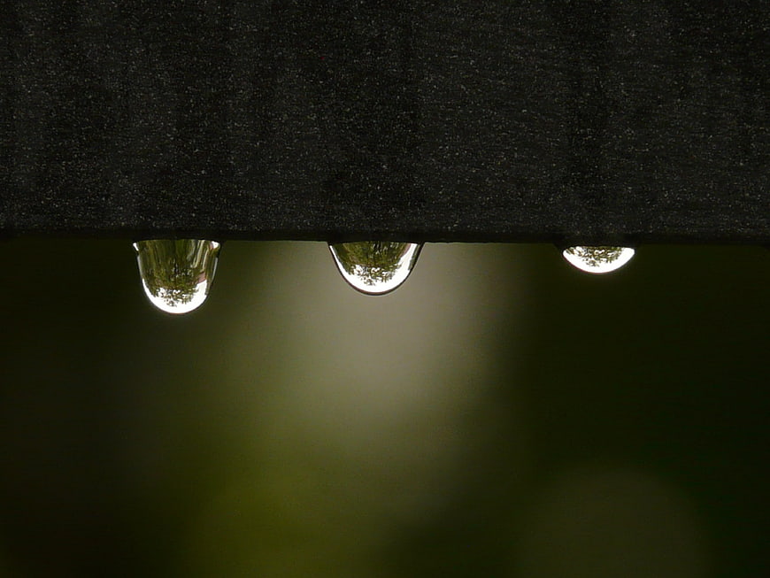 Close-up of raindrops hanging from a dark surface